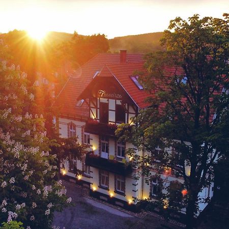 Ferienwohnung Franciszek Przy Parku Szwedzkim Bad Salzbrunn Exterior foto