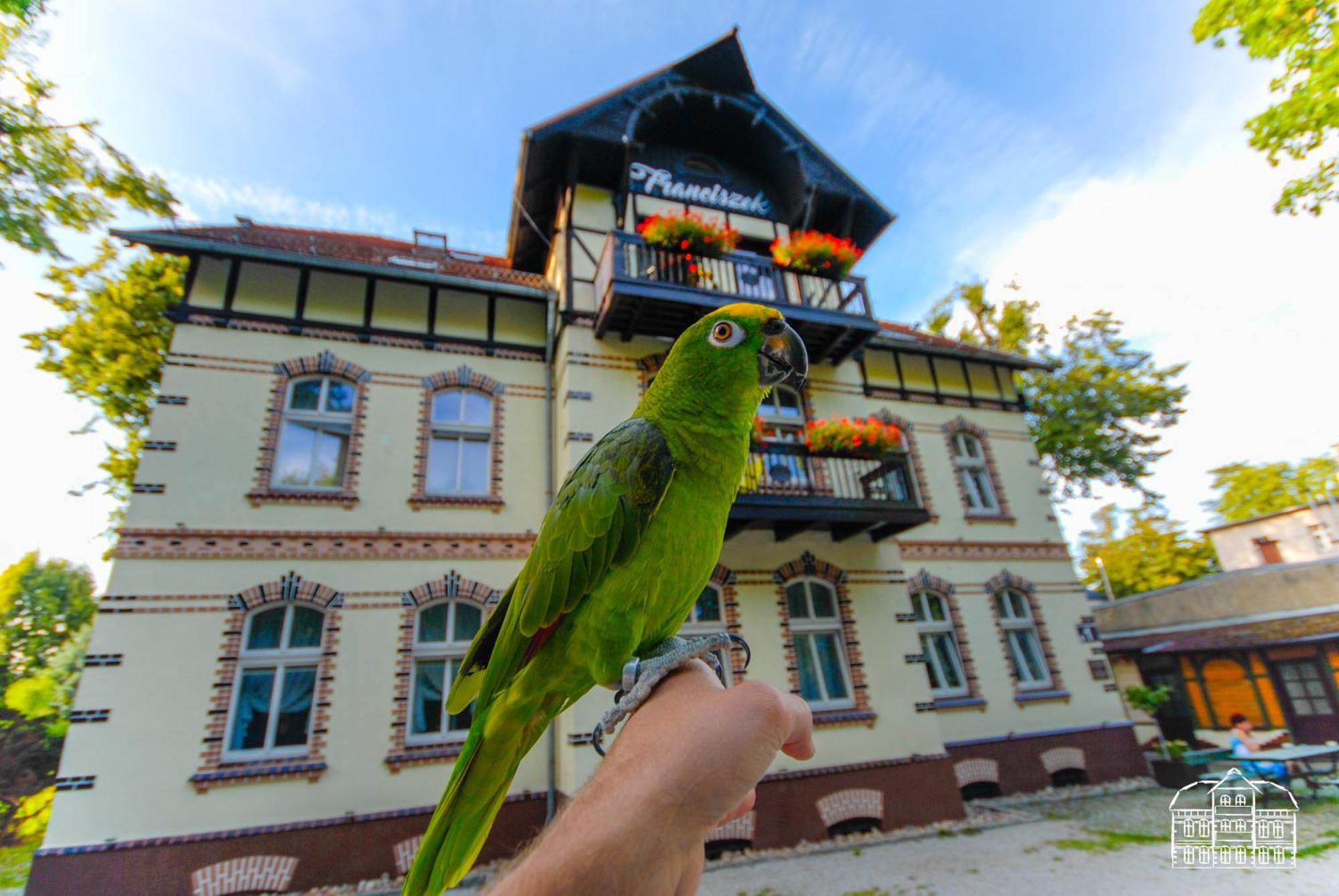 Ferienwohnung Franciszek Przy Parku Szwedzkim Bad Salzbrunn Exterior foto